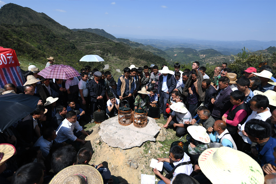 贵州：黄平白保坡三月芦笙会又掀新亮点