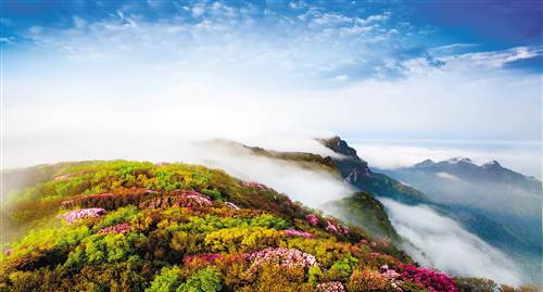 “全域旅游”新引擎 南川处处是风景